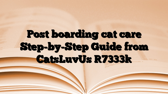 Post boarding cat care Step-by-Step Guide from CatsLuvUs