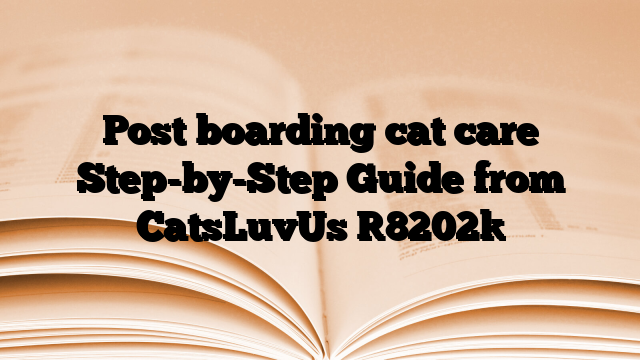 Post boarding cat care Step-by-Step Guide from CatsLuvUs