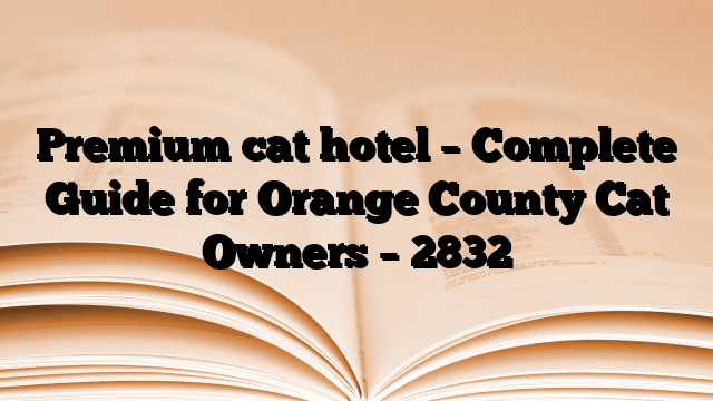 Premium cat hotel – Complete Guide for Orange County Cat Owners