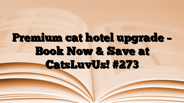 Premium cat hotel upgrade – Book Now & Save at CatsLuvUs!