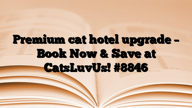 Premium cat hotel upgrade – Book Now & Save at CatsLuvUs!