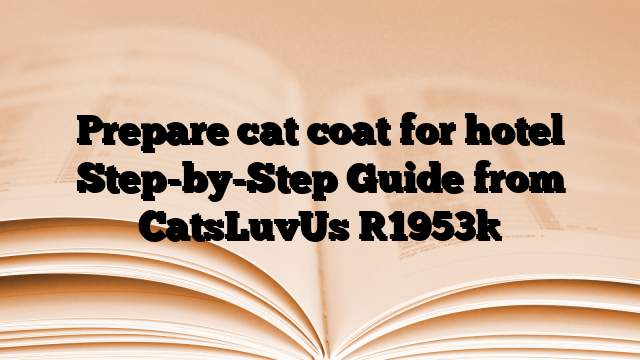 Prepare cat coat for hotel Step-by-Step Guide from CatsLuvUs