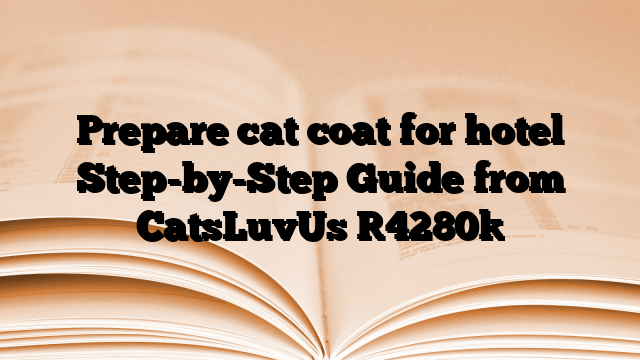 Prepare cat coat for hotel Step-by-Step Guide from CatsLuvUs