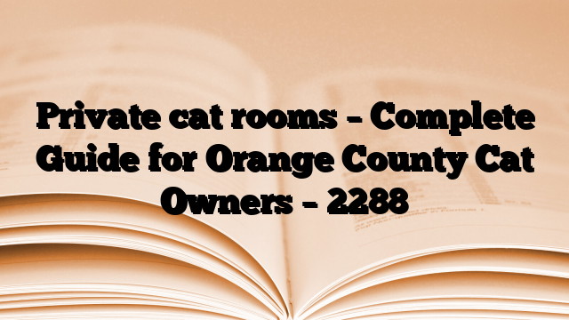 Private cat rooms – Complete Guide for Orange County Cat Owners