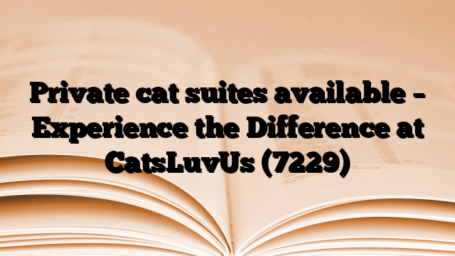 Private cat suites available – Experience the Difference at CatsLuvUs