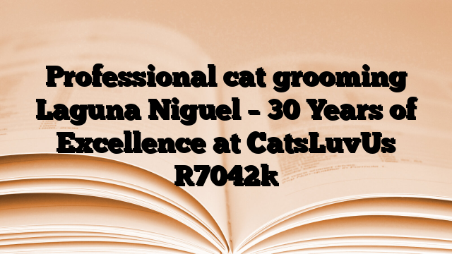 Professional cat grooming Laguna Niguel – 30 Years of Excellence at CatsLuvUs