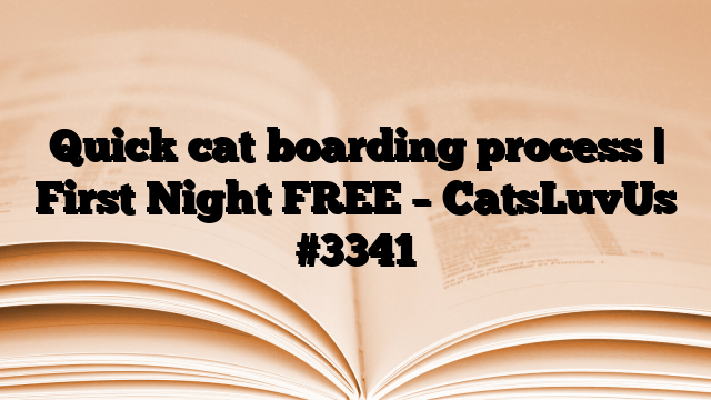 Quick cat boarding process | First Night FREE – CatsLuvUs
