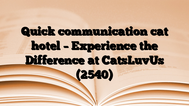Quick communication cat hotel – Experience the Difference at CatsLuvUs