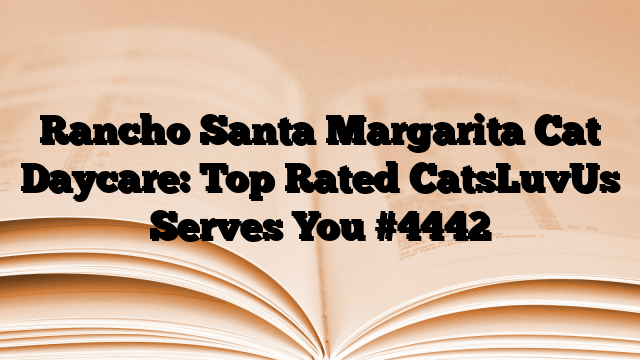 Rancho Santa Margarita Cat Daycare: Top Rated CatsLuvUs Serves You