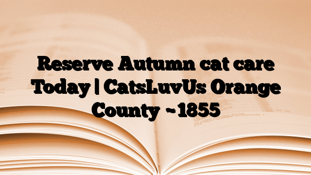 Reserve Autumn cat care Today | CatsLuvUs Orange County