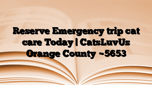 Reserve Emergency trip cat care Today | CatsLuvUs Orange County