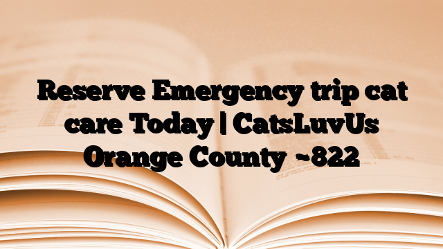 Reserve Emergency trip cat care Today | CatsLuvUs Orange County