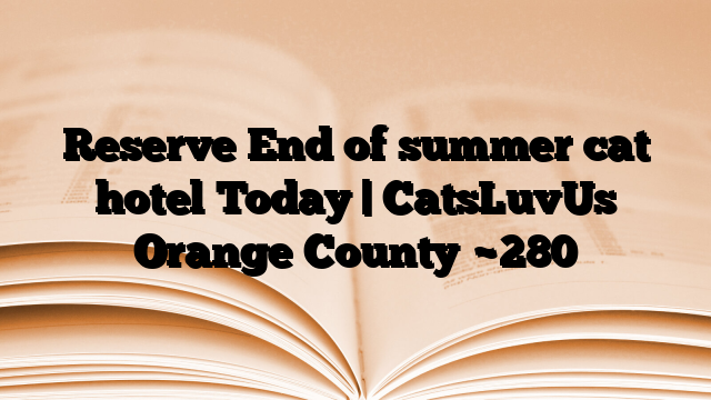 Reserve End of summer cat hotel Today | CatsLuvUs Orange County