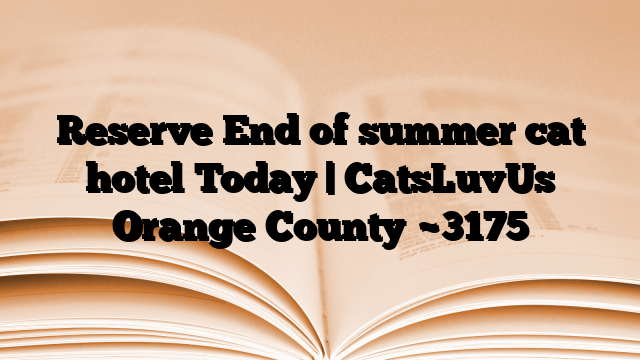 Reserve End of summer cat hotel Today | CatsLuvUs Orange County