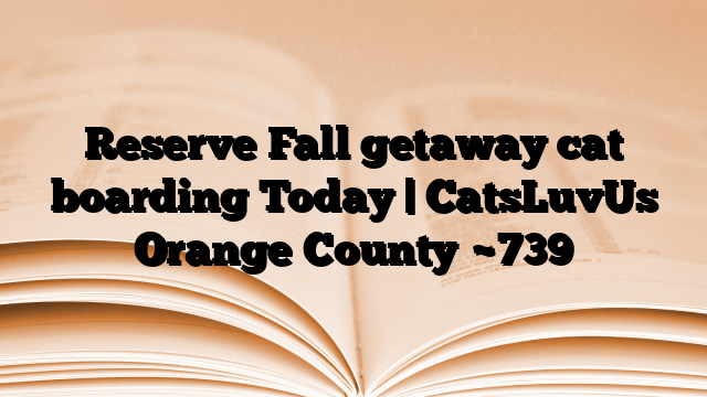 Reserve Fall getaway cat boarding Today | CatsLuvUs Orange County