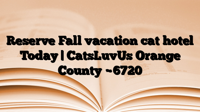 Reserve Fall vacation cat hotel Today | CatsLuvUs Orange County