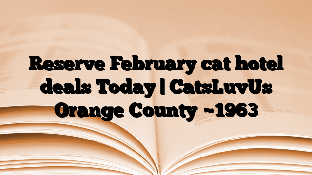 Reserve February cat hotel deals Today | CatsLuvUs Orange County