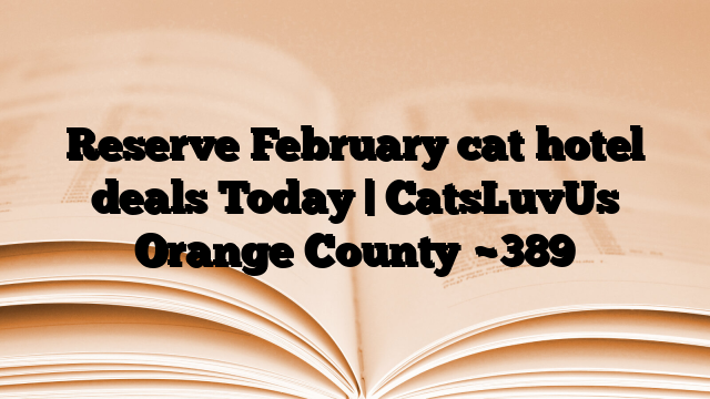 Reserve February cat hotel deals Today | CatsLuvUs Orange County
