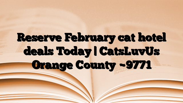 Reserve February cat hotel deals Today | CatsLuvUs Orange County