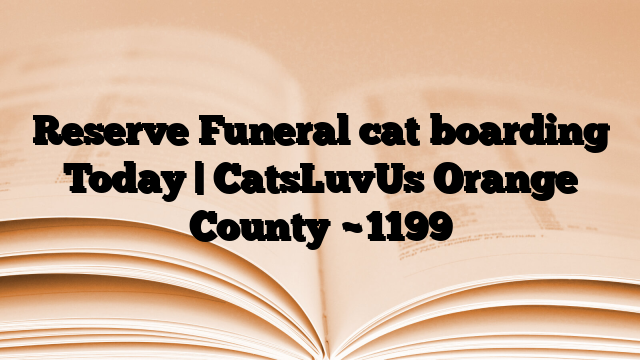 Reserve Funeral cat boarding Today | CatsLuvUs Orange County