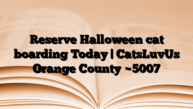 Reserve Halloween cat boarding Today | CatsLuvUs Orange County