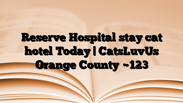Reserve Hospital stay cat hotel Today | CatsLuvUs Orange County