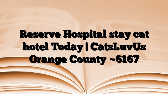 Reserve Hospital stay cat hotel Today | CatsLuvUs Orange County
