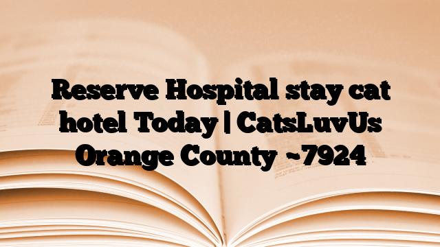 Reserve Hospital stay cat hotel Today | CatsLuvUs Orange County