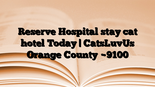 Reserve Hospital stay cat hotel Today | CatsLuvUs Orange County