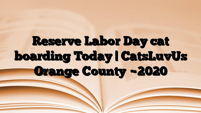 Reserve Labor Day cat boarding Today | CatsLuvUs Orange County