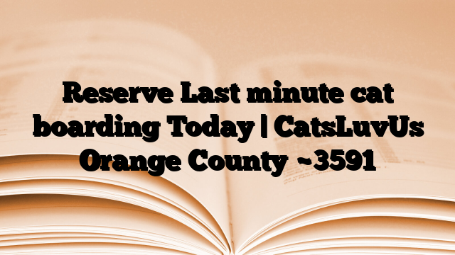 Reserve Last minute cat boarding Today | CatsLuvUs Orange County