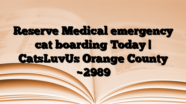 Reserve Medical emergency cat boarding Today | CatsLuvUs Orange County