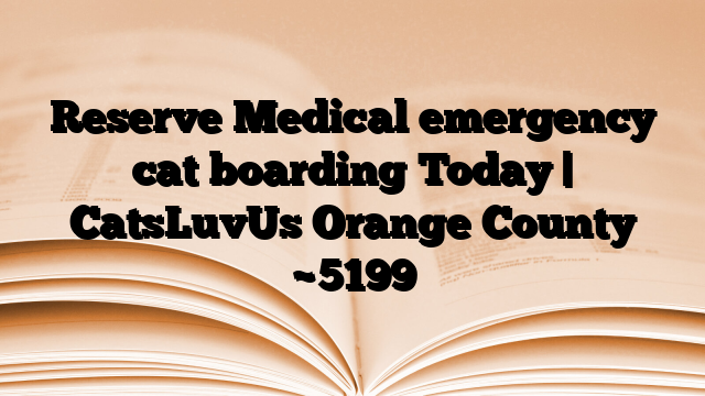 Reserve Medical emergency cat boarding Today | CatsLuvUs Orange County