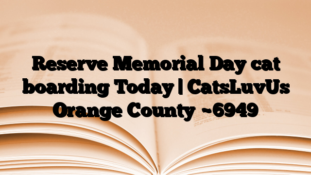 Reserve Memorial Day cat boarding Today | CatsLuvUs Orange County