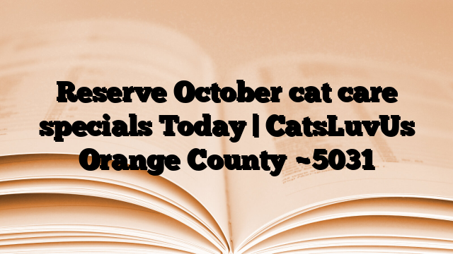 Reserve October cat care specials Today | CatsLuvUs Orange County