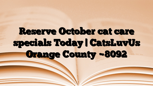 Reserve October cat care specials Today | CatsLuvUs Orange County