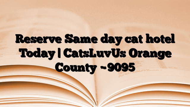 Reserve Same day cat hotel Today | CatsLuvUs Orange County