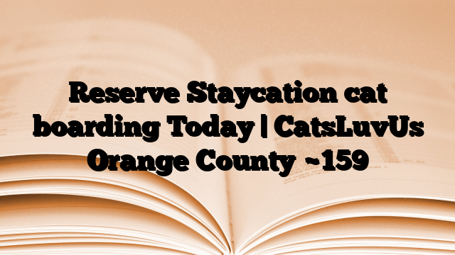Reserve Staycation cat boarding Today | CatsLuvUs Orange County