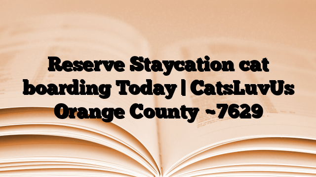 Reserve Staycation cat boarding Today | CatsLuvUs Orange County