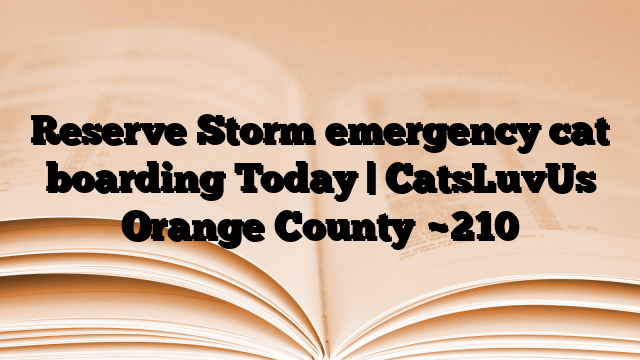 Reserve Storm emergency cat boarding Today | CatsLuvUs Orange County