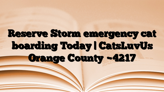 Reserve Storm emergency cat boarding Today | CatsLuvUs Orange County