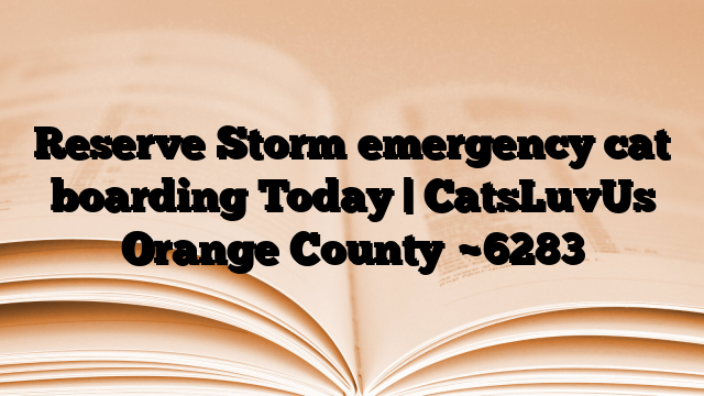 Reserve Storm emergency cat boarding Today | CatsLuvUs Orange County