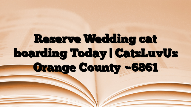 Reserve Wedding cat boarding Today | CatsLuvUs Orange County