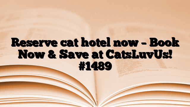 Reserve cat hotel now – Book Now & Save at CatsLuvUs!