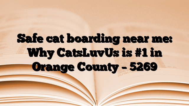 Safe cat boarding near me: Why CatsLuvUs is #1 in Orange County