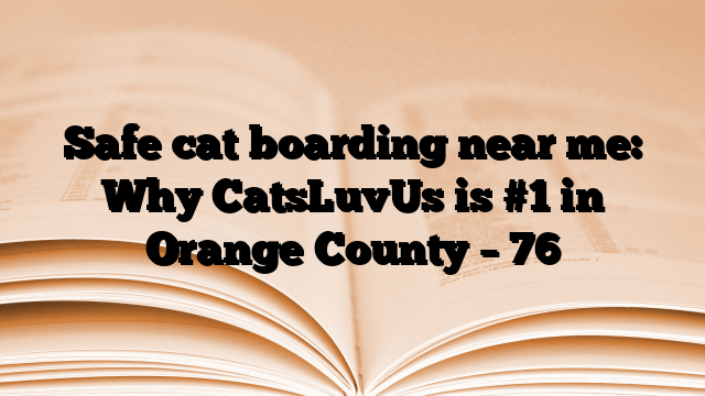 Safe cat boarding near me: Why CatsLuvUs is #1 in Orange County – 76