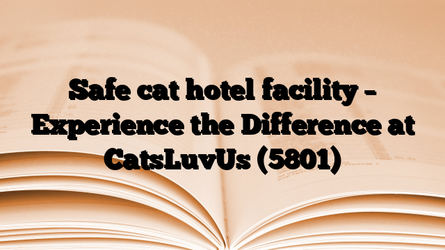 Safe cat hotel facility – Experience the Difference at CatsLuvUs