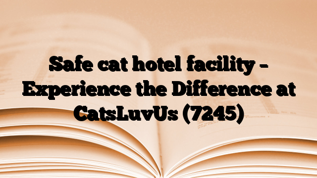 Safe cat hotel facility – Experience the Difference at CatsLuvUs