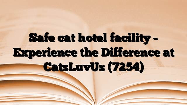 Safe cat hotel facility – Experience the Difference at CatsLuvUs