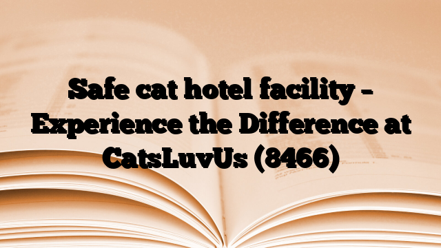Safe cat hotel facility – Experience the Difference at CatsLuvUs